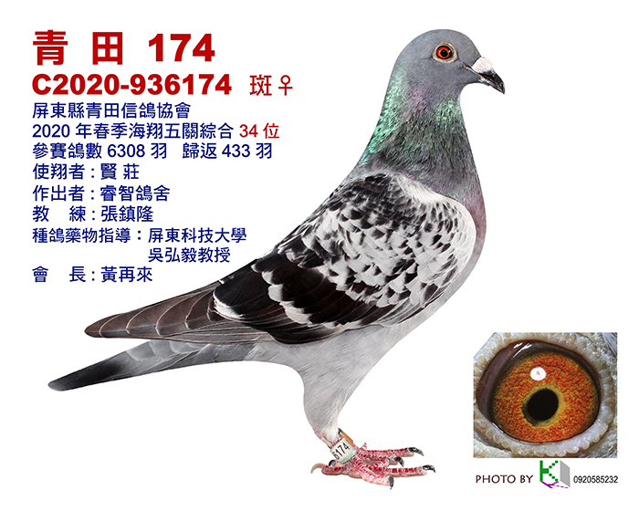 34青田2020春-78-12x15-2張.jpg