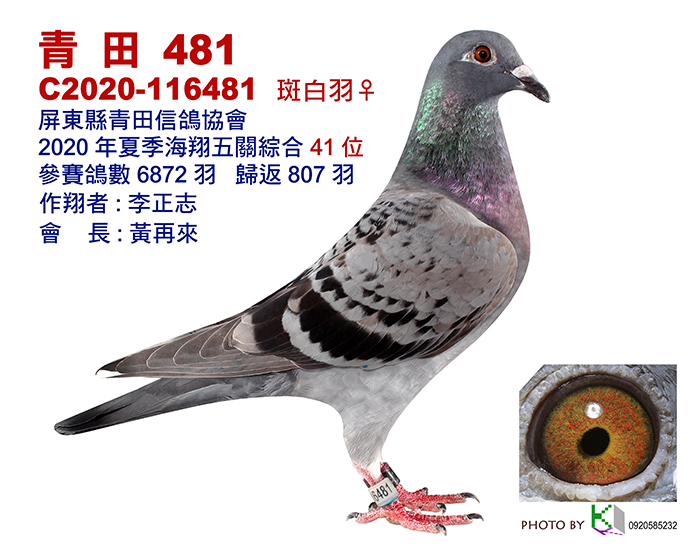 41_青田2020夏-87-12x15-1張.jpg