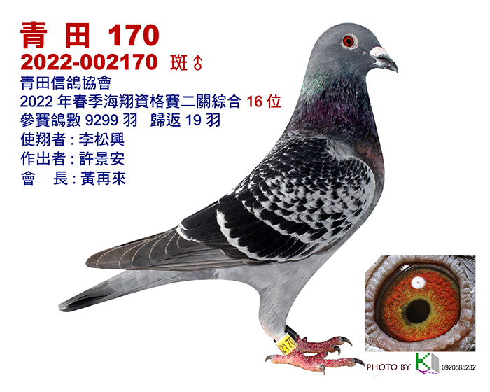 16青田2022春-16-12x15-2張.jpg